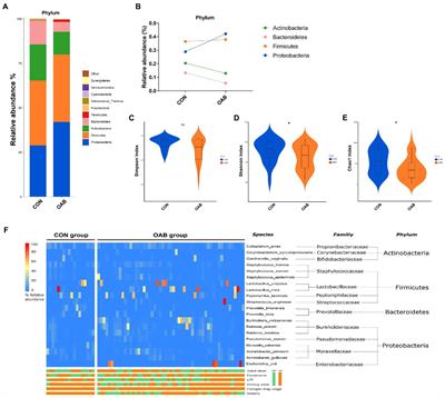 The detection of urinary viruses is associated with aggravated symptoms and altered bacteriome in female with overactive bladder